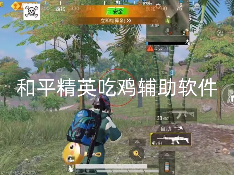 和平精英吃鸡辅助软件.jpg